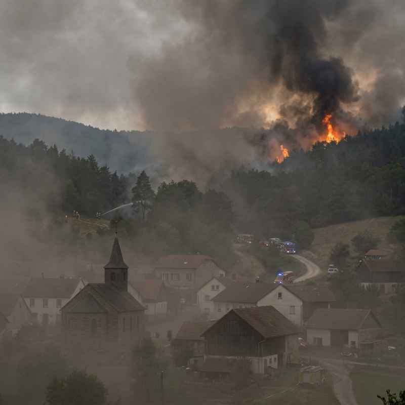 Forest Fires Crisis: Trillions Lost in Haze